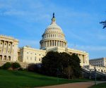 Legislative and Executive Lobbying